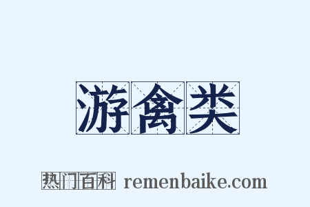 游禽类是什么意思的图片